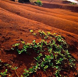 东方Project 游戏《幻想女武神》10月23日推出抢先体验