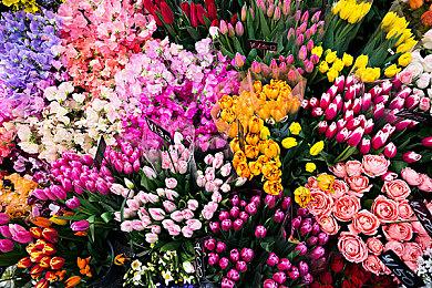 《双影奇境》好友通行证首次支持跨平台 PC推荐RTX 3070显卡